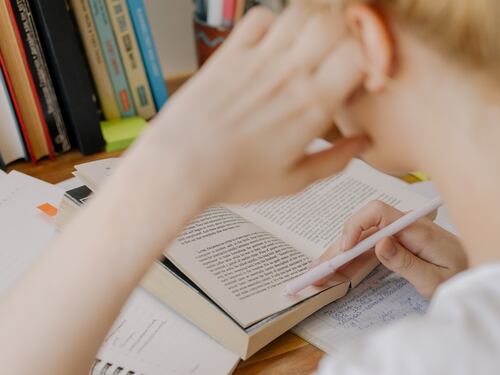 Nina, la sindrome down e il diritto alla maturità negato dalla scuola "per stress"
