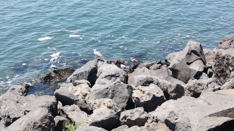 Napoli, il mare negato di San Giovanni a Teduccio 8