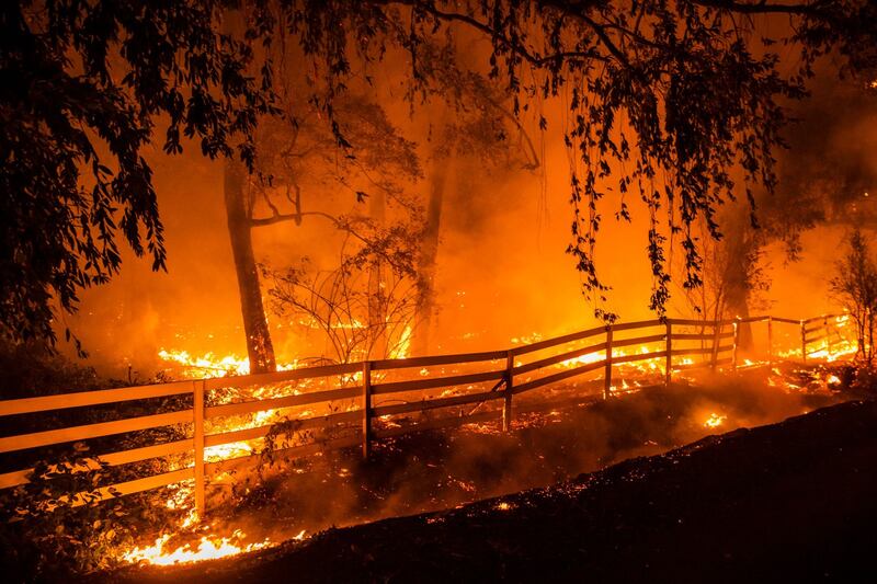 Gli incendi in California 1