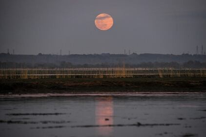 La Super Luna: le immagini suggestive dall'est della Francia  6