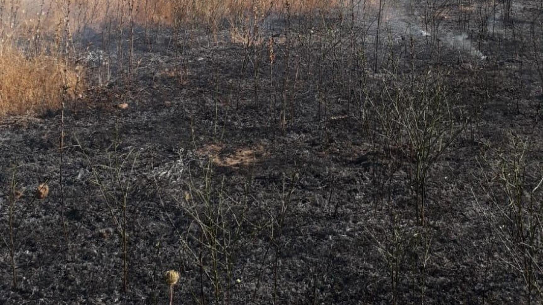 Violento incendio vicino dell'aeroporto di Olbia: ritardi e voli dirottati, cosa è successo