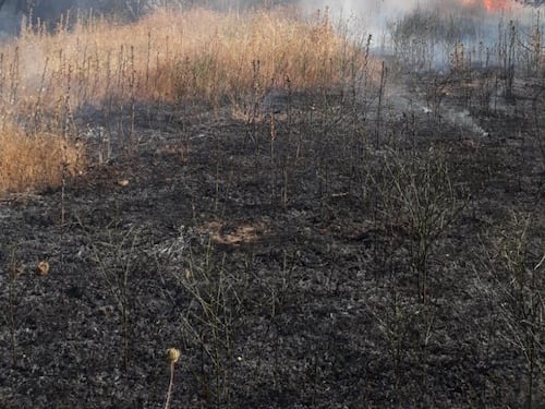 Violento incendio vicino dell'aeroporto di Olbia: ritardi e voli dirottati, cosa è successo