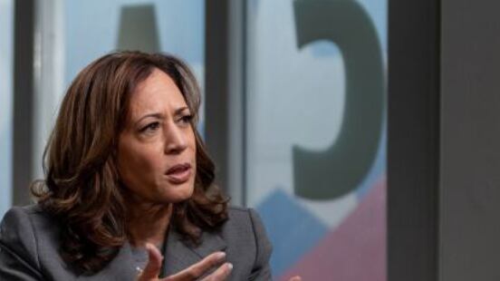 Prima intervista per Kamala Harris: "Se eletta un repubblicano nel mio governo"