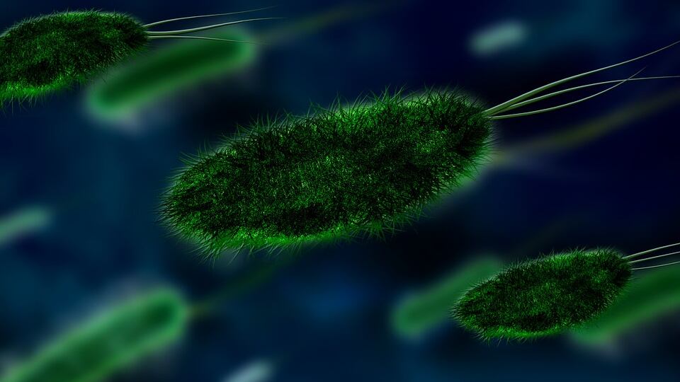 Super antibiotico per combattere i superbatteri