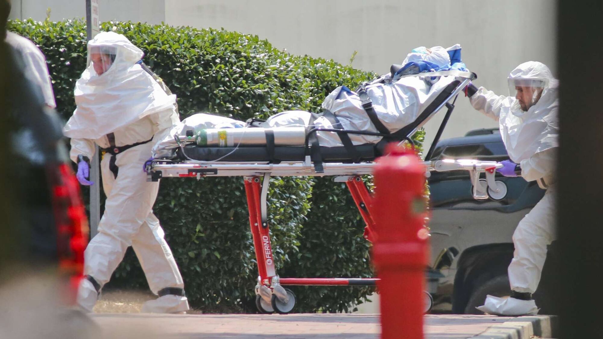 Ebola, Russia: "Entro sei mesi avremo tre vaccini"