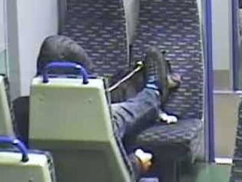 Violenza senza senso sul treno: pesta il cane fino ad ammazzarlo