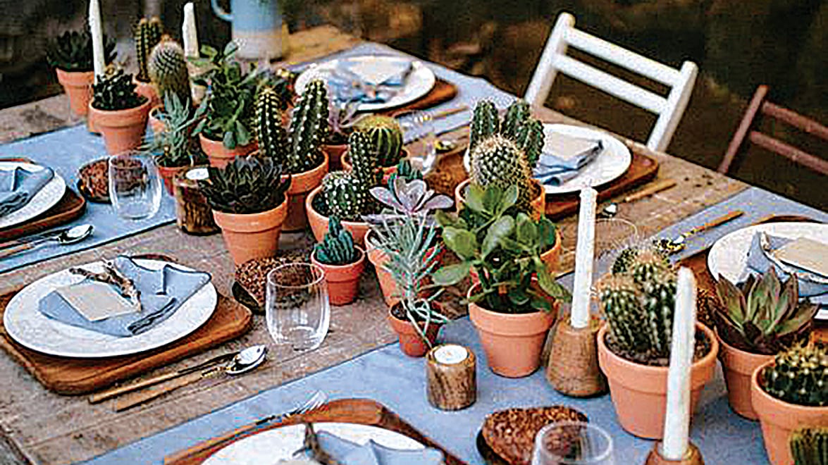 Non chiede troppe cure arreda, punge ma protegge È scoppiata la cactus-manìa