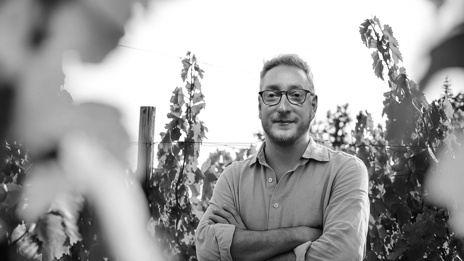 Pigmento di Vigna, il Sangiovese secondo Paolo Porfidio