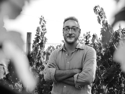 Pigmento di Vigna, il Sangiovese secondo Paolo Porfidio