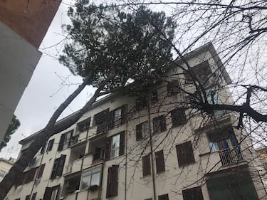 I danni alle palazzine Ater dopo il maltempo che si è abbattuto sulla Capitale 6