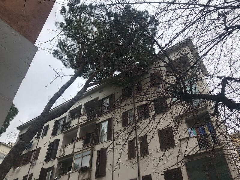 I danni alle palazzine Ater dopo il maltempo che si è abbattuto sulla Capitale 6