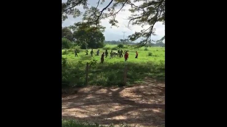 Venezuela, folla affamata uccide una mucca con pietre e bastoni