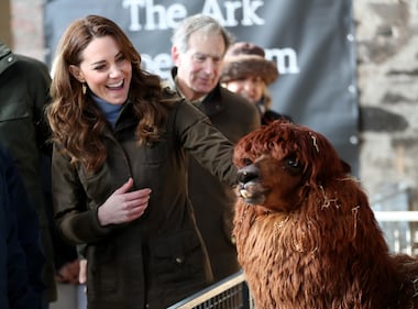 Royal Family, le foto dei membri senior 2