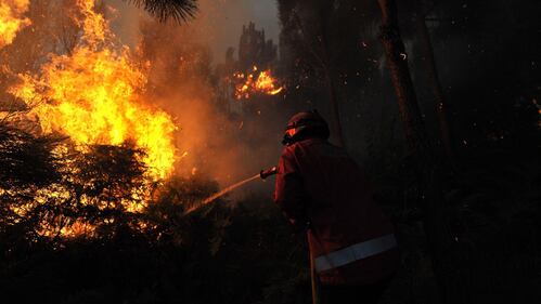 Colossale incendio in Portogallo 4