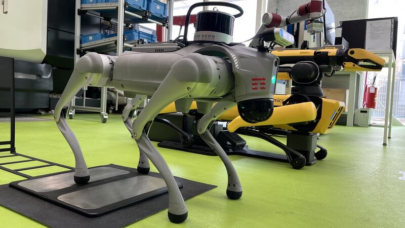 Tim al Bi-Rex cane robot