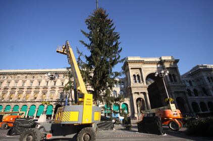 Milano, è arrivato l'abero di Natale in Piazza Duomo 3