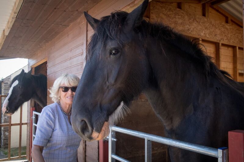Camilla Parker Bowles, le foto della duchessa 5