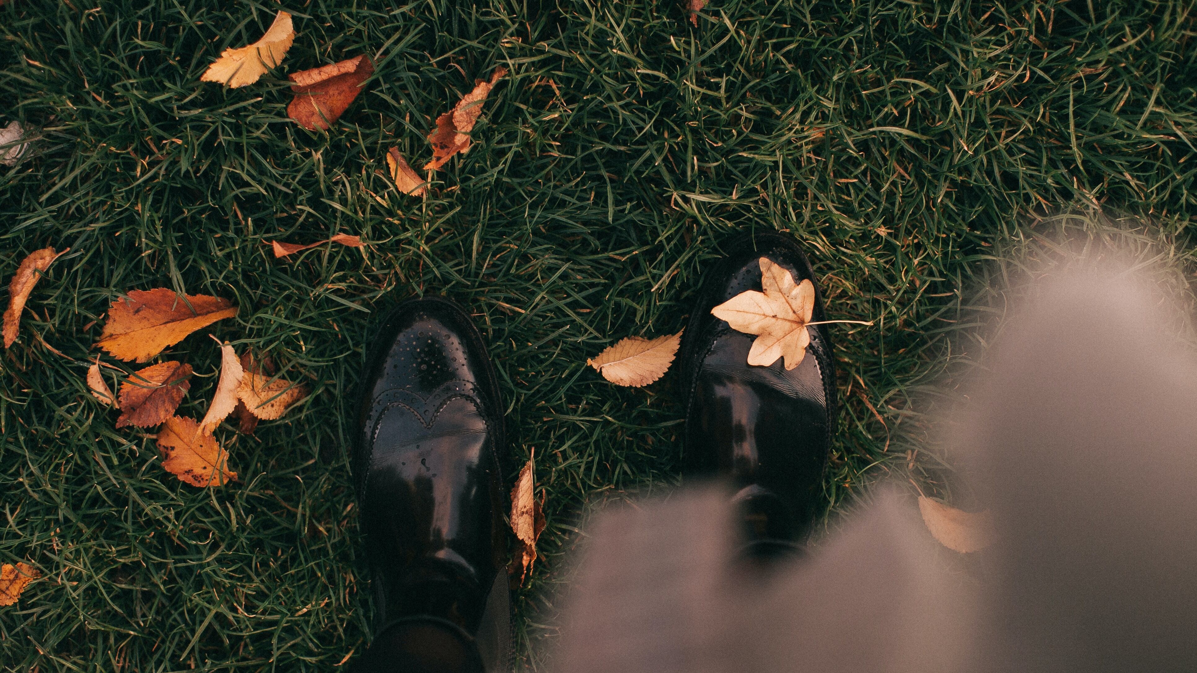 Autumn blues, cinque rimedi contro il mal d'autunno