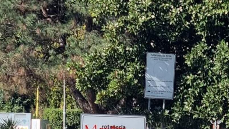 Sfregiata la targa per i martiri delle foibe: l'odio rosso a Pisa