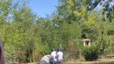Piacenza, in moto in un'area vietata: la "gaffe" dell'assessore