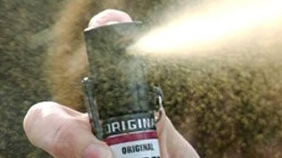 Capodanno, al concerto in piazza vietato lo spray al peperoncino