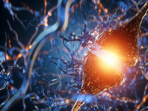 Perché il corpo vuole solo dormire