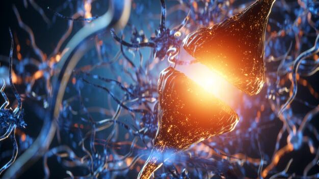 Perché il corpo vuole solo dormire