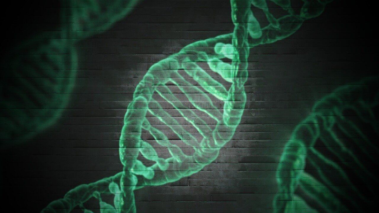 Svolta su Unabomber: trovato il Dna