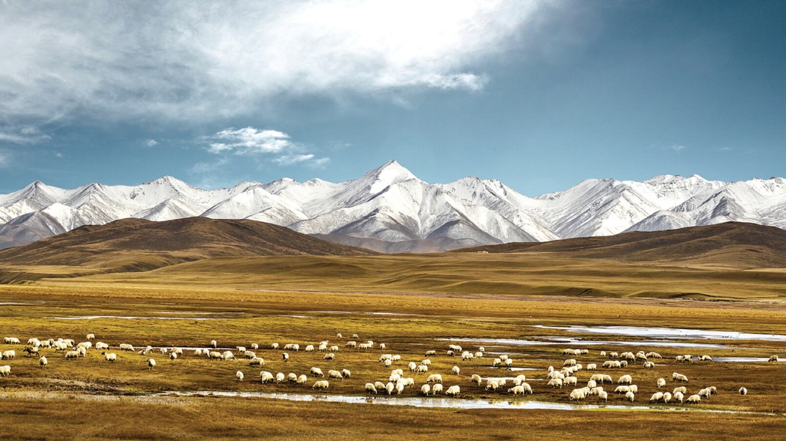 Il Qinghai