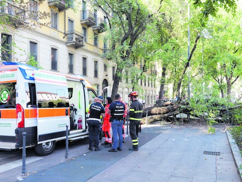 Crolla un albero, tre persone ferite. Decine di allarmi cadute nel vuoto