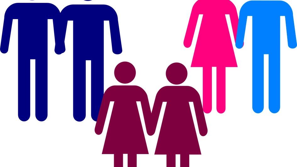 Trascrizione per figli di coppie gay, Pillon: "I sindaci non usino i bimbi"