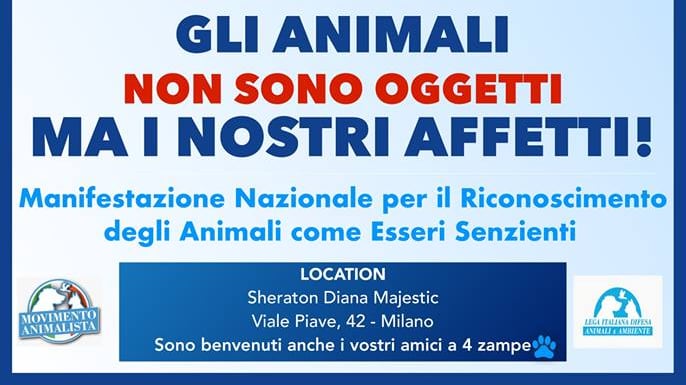 Brambilla: "Gli animali non sono oggetti ma i nostri affetti"