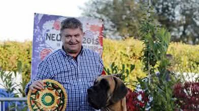 Aggredito e sbranato dai suoi cani. Come hanno trovato il veterinario