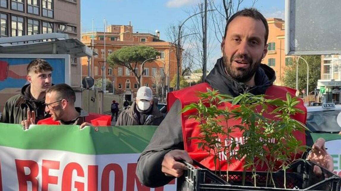 "Va legalizzata a uso ludico". La sinistra pianta la marijuana in Regione Lazio