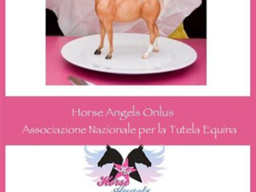Horse Angels: scandalo carni equine, cosa succede ai cavalli a fine carriera?
