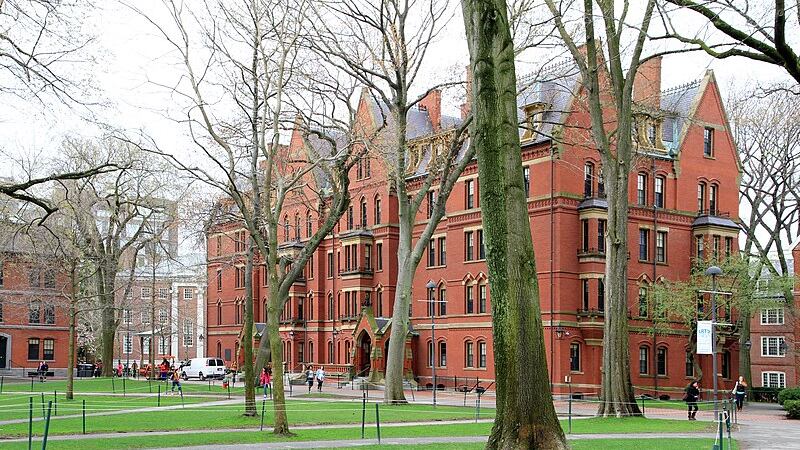 Ora anche Harvard finisce nella gogna del #MeToo
