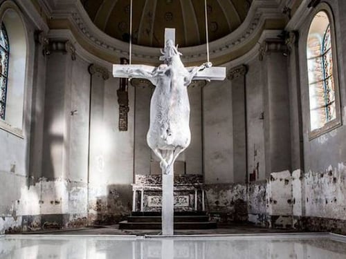 Mucca crocefissa in Chiesa, protesta dei cattolici