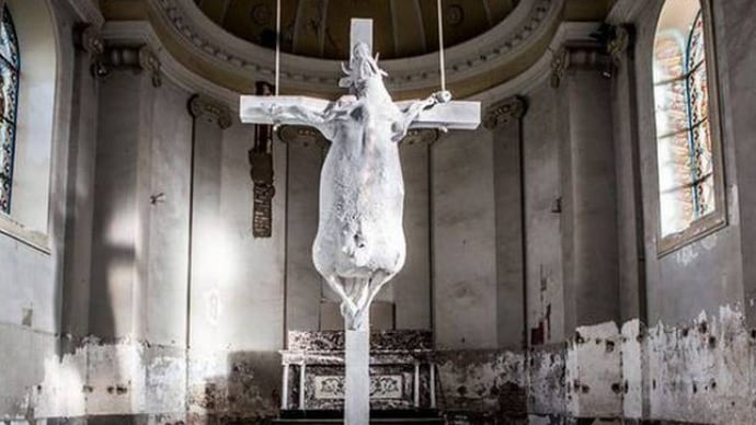 Mucca crocefissa in Chiesa, protesta dei cattolici