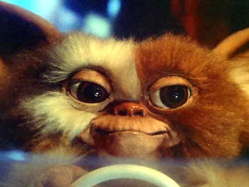 Gremlins, tutti i film horror diventati classici di Natale