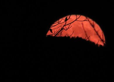 La notte della Superluna 5
