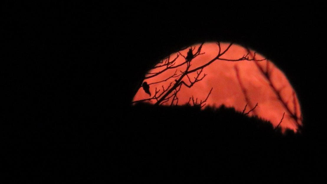 La notte della Superluna 5