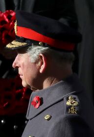Principe Carlo, il futuro Re: foto 3