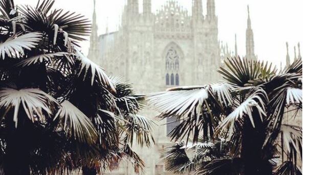 Palme imbiancate e banani morti, per Sala è poesia