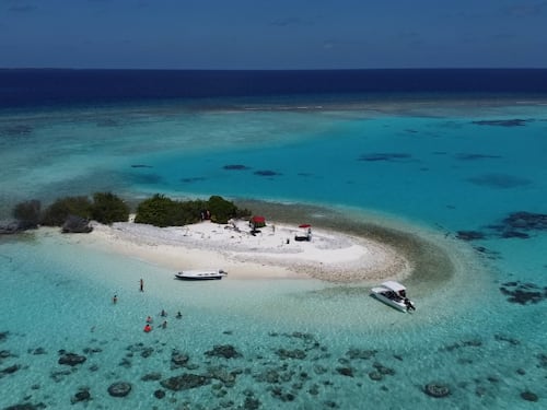 La "follia" di Speranza sui viaggi: "Così non prenota più nessuno"