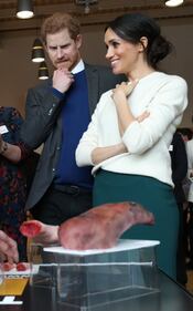 Meghan Markle e il Principe Harry, fidanzati felici 18