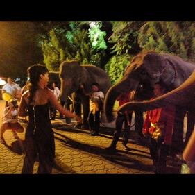 Rihanna va in Tailandia: polemica sulla scimmia, è una specie protetta 6