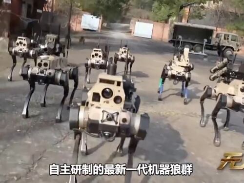 Un branco di lupi robot: ecco il nuovo “sciame militare” della Cina