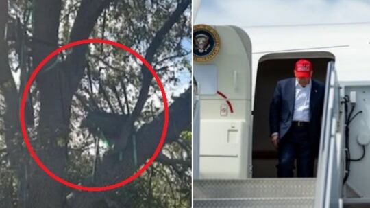 Caccia sugli alberi a Palm Beach, indaga l'Fbi. "Rischio di un nuovo agguato contro Trump"
