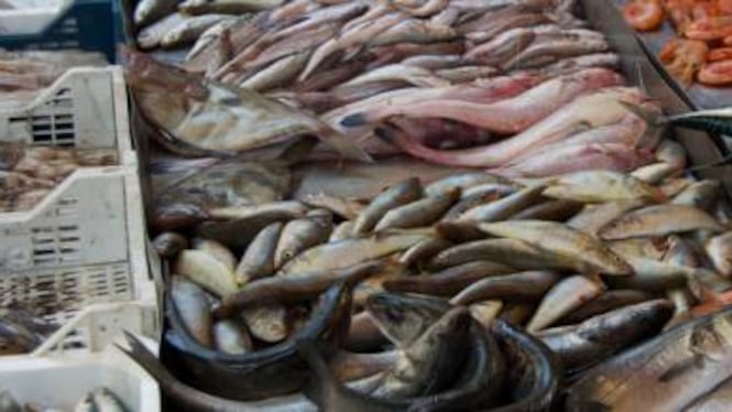 Tumore del colon-retto: i rischi calano mangiando pesce