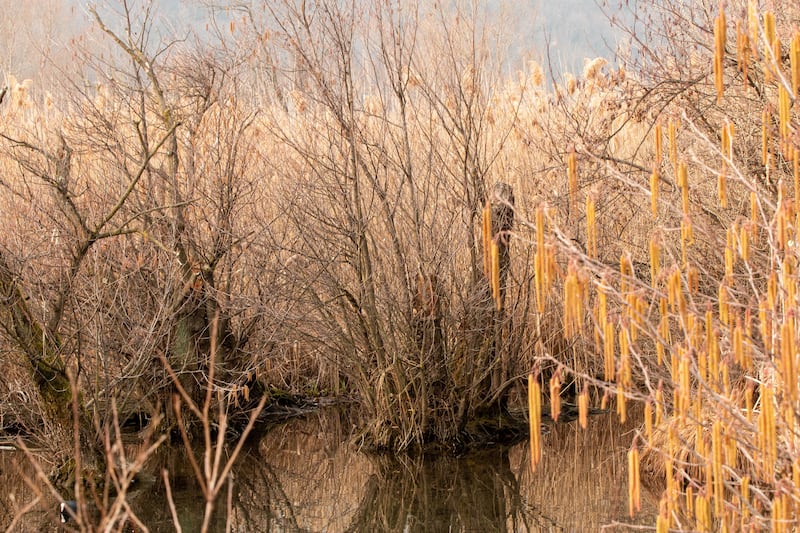Lago del Segrino a Eupilio